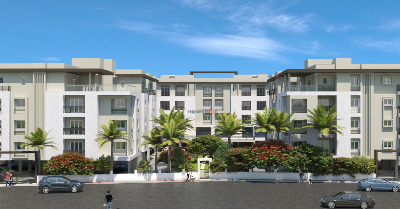 BBCL MIDLAND Cover Image